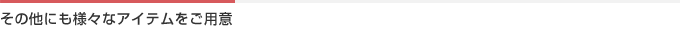 その他にも様々なアイテムをご用意