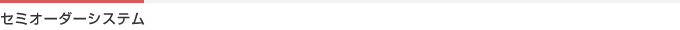 セミオーダーシステム
