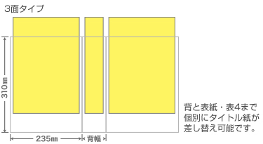 3面タイプ