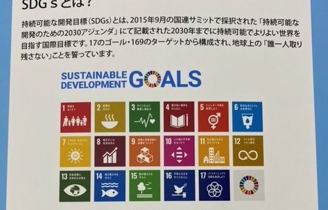 ビニール製生地見本帳【SDGsタイプ】のご案内！